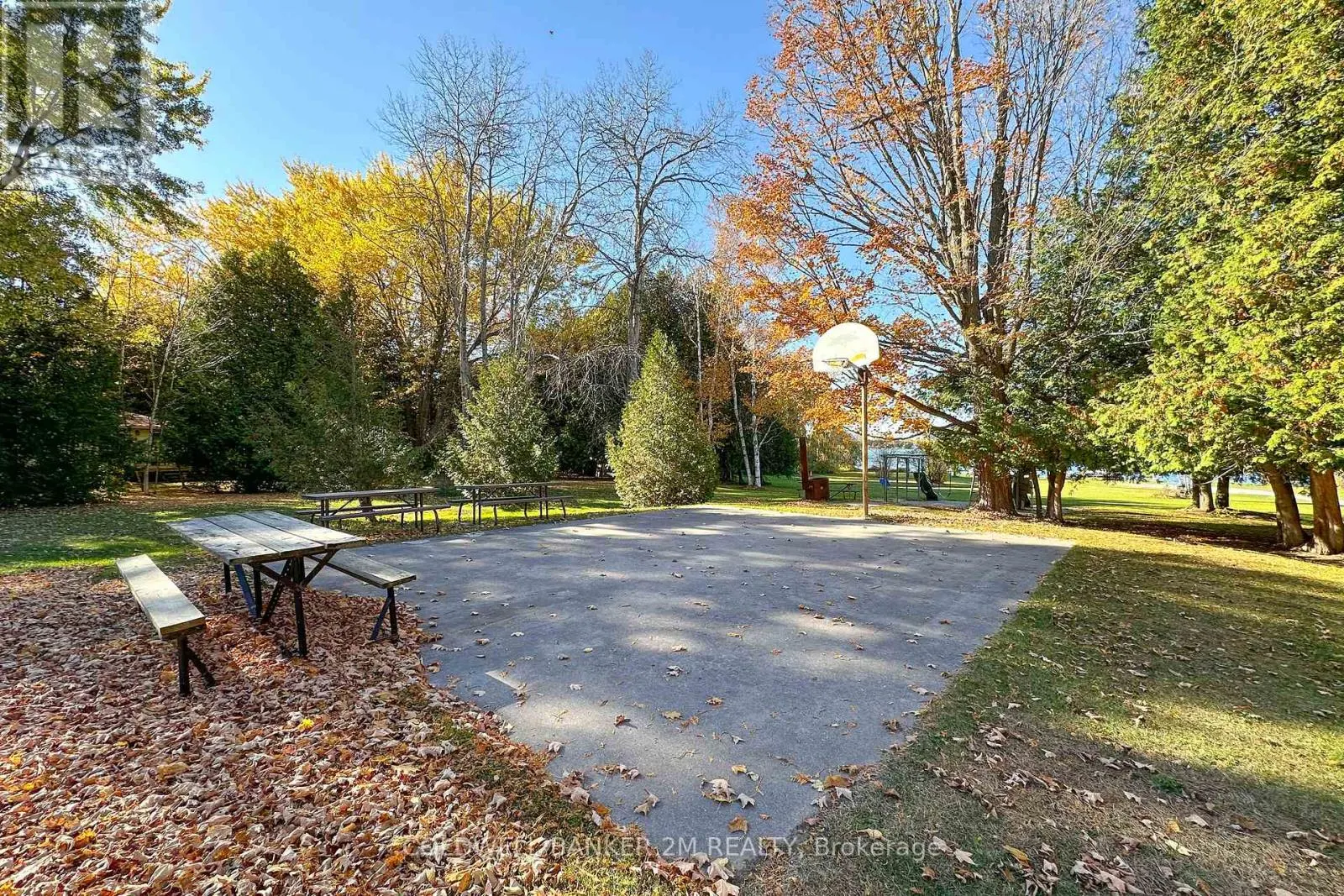 122 MCGILL DRIVE