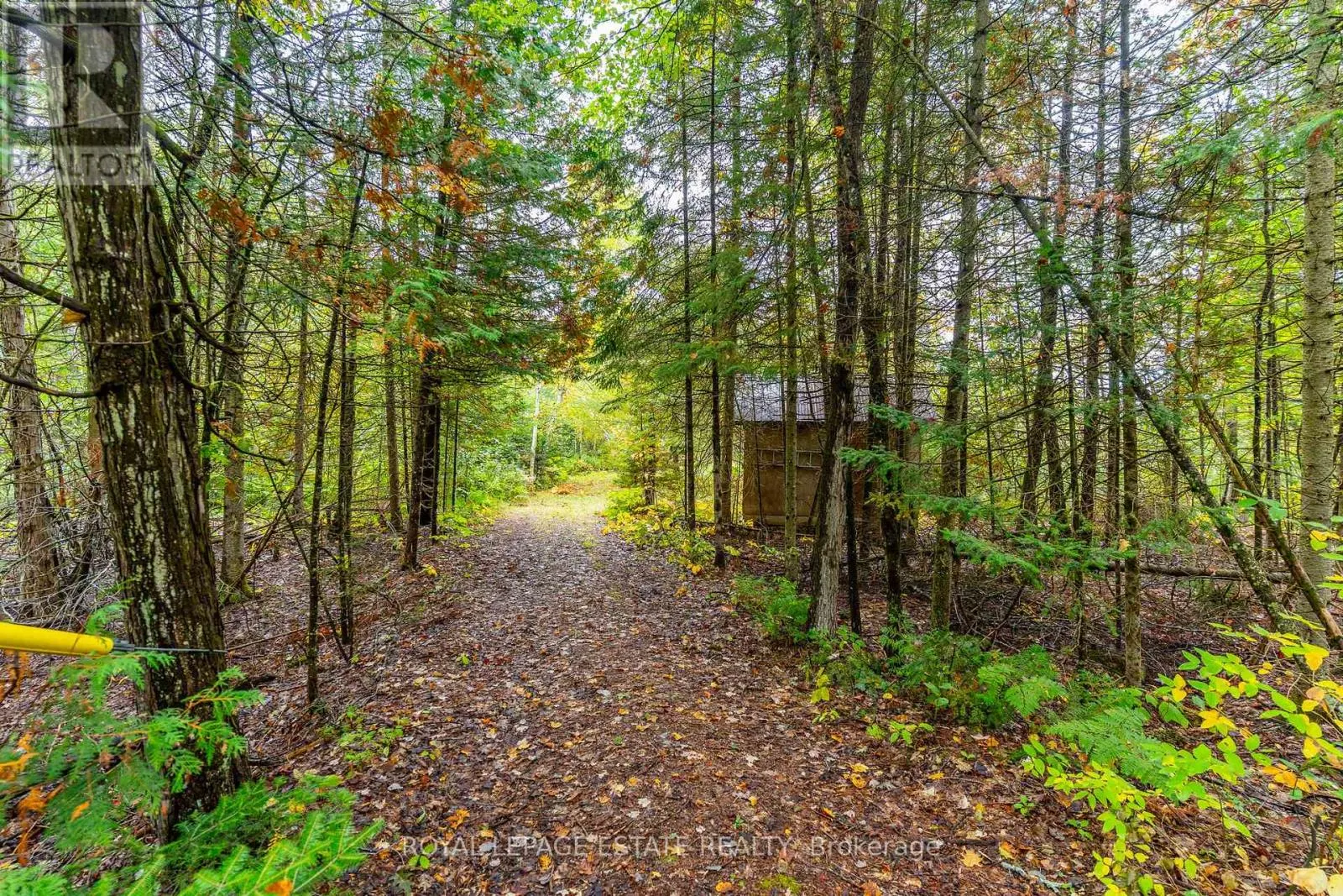 LOT 18 CREGO LAKE ROAD