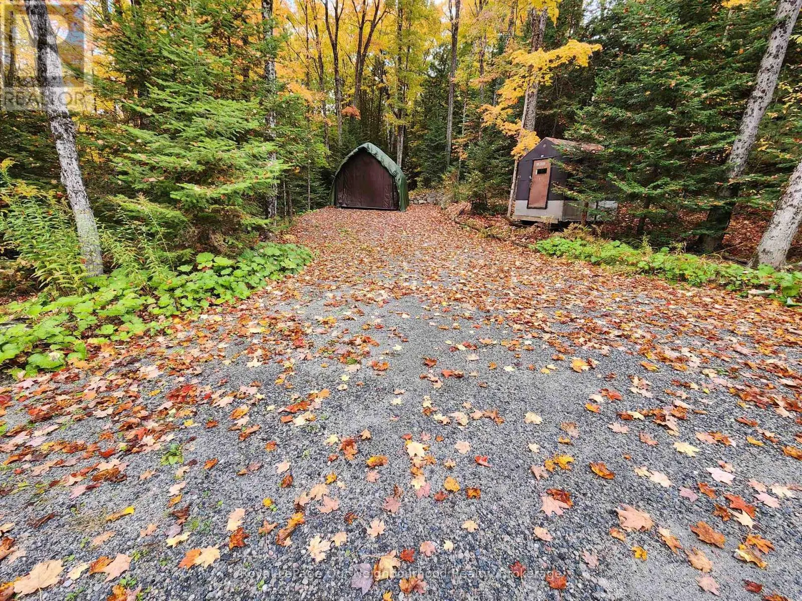 1042 SKI RIDGE TRAIL