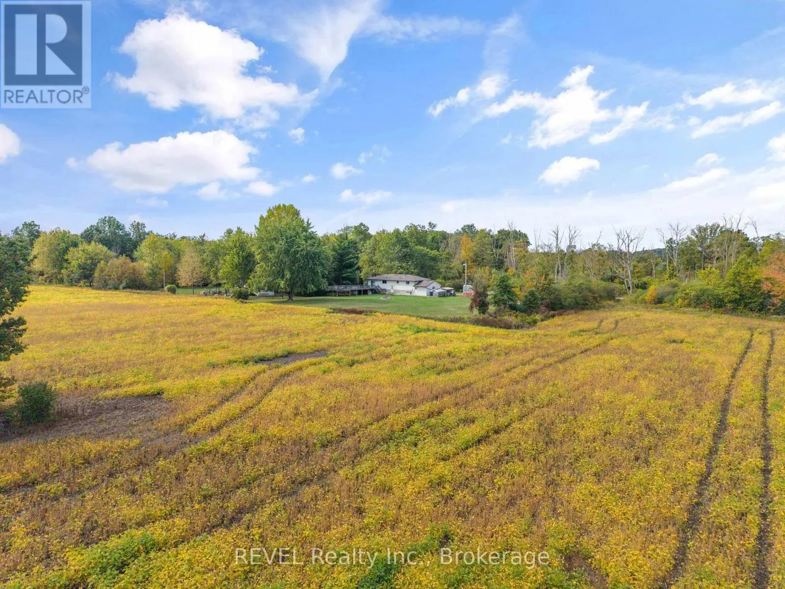 1506 OTT ROAD