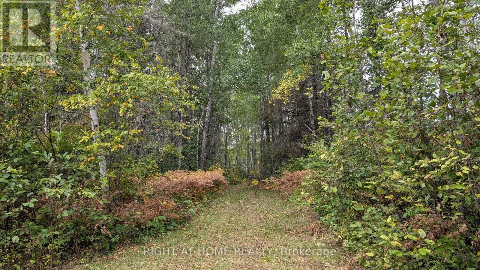 58 BELLEFEUILLE ROAD S