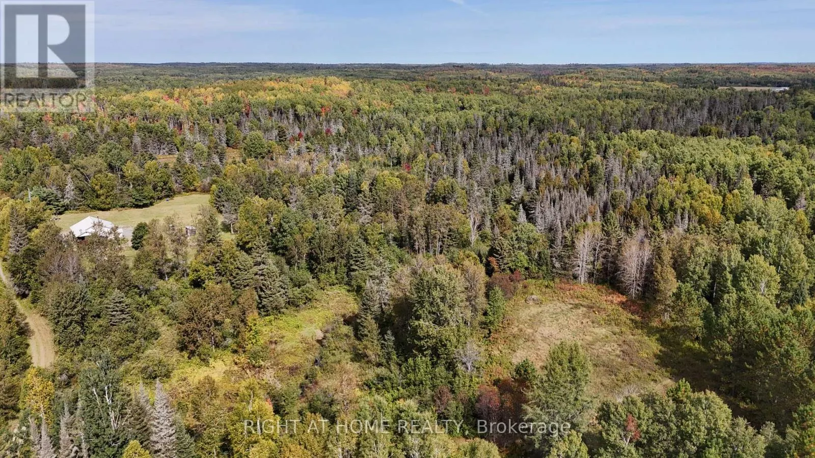 58 BELLEFEUILLE ROAD S