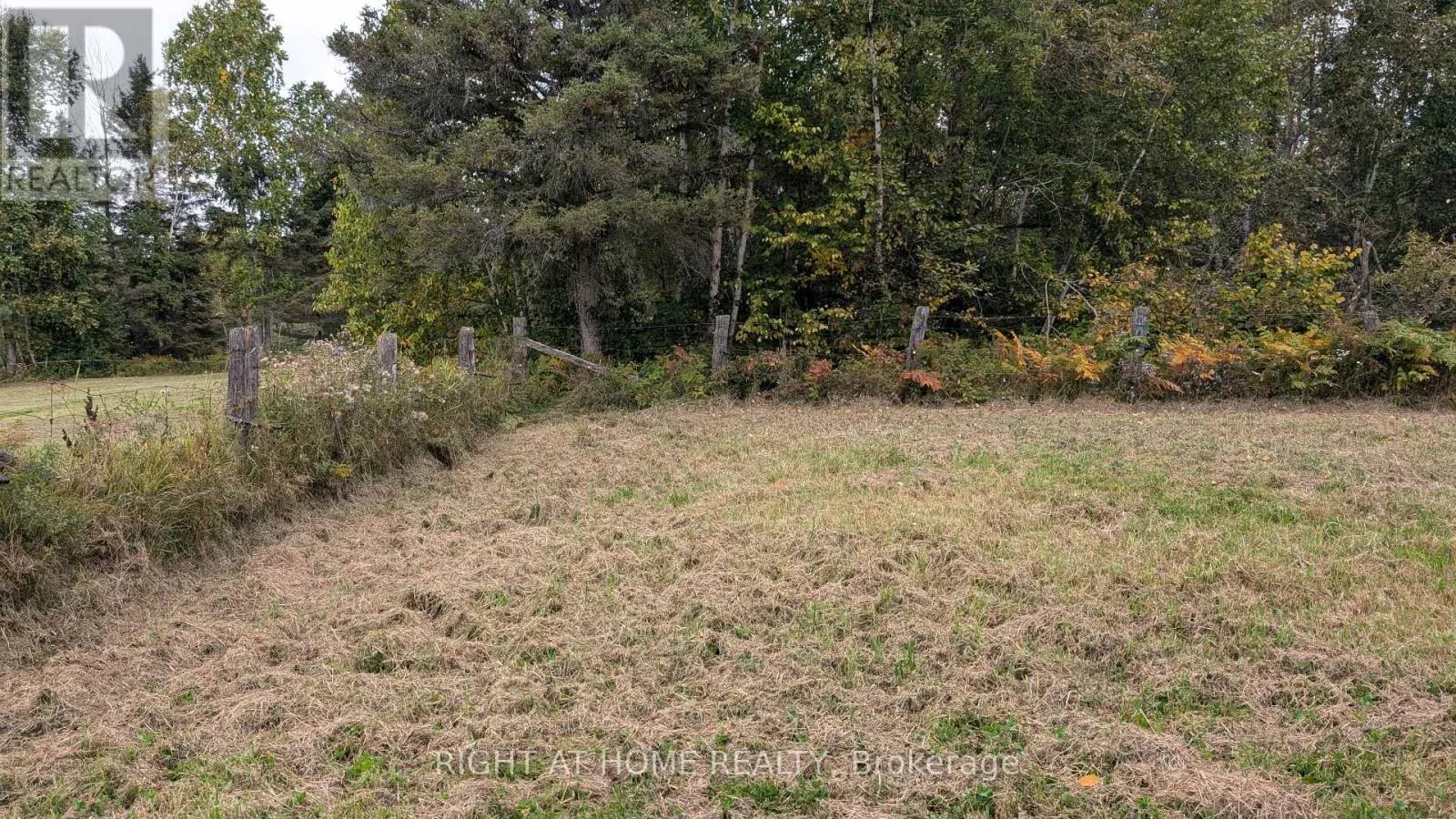 58 BELLEFEUILLE ROAD S