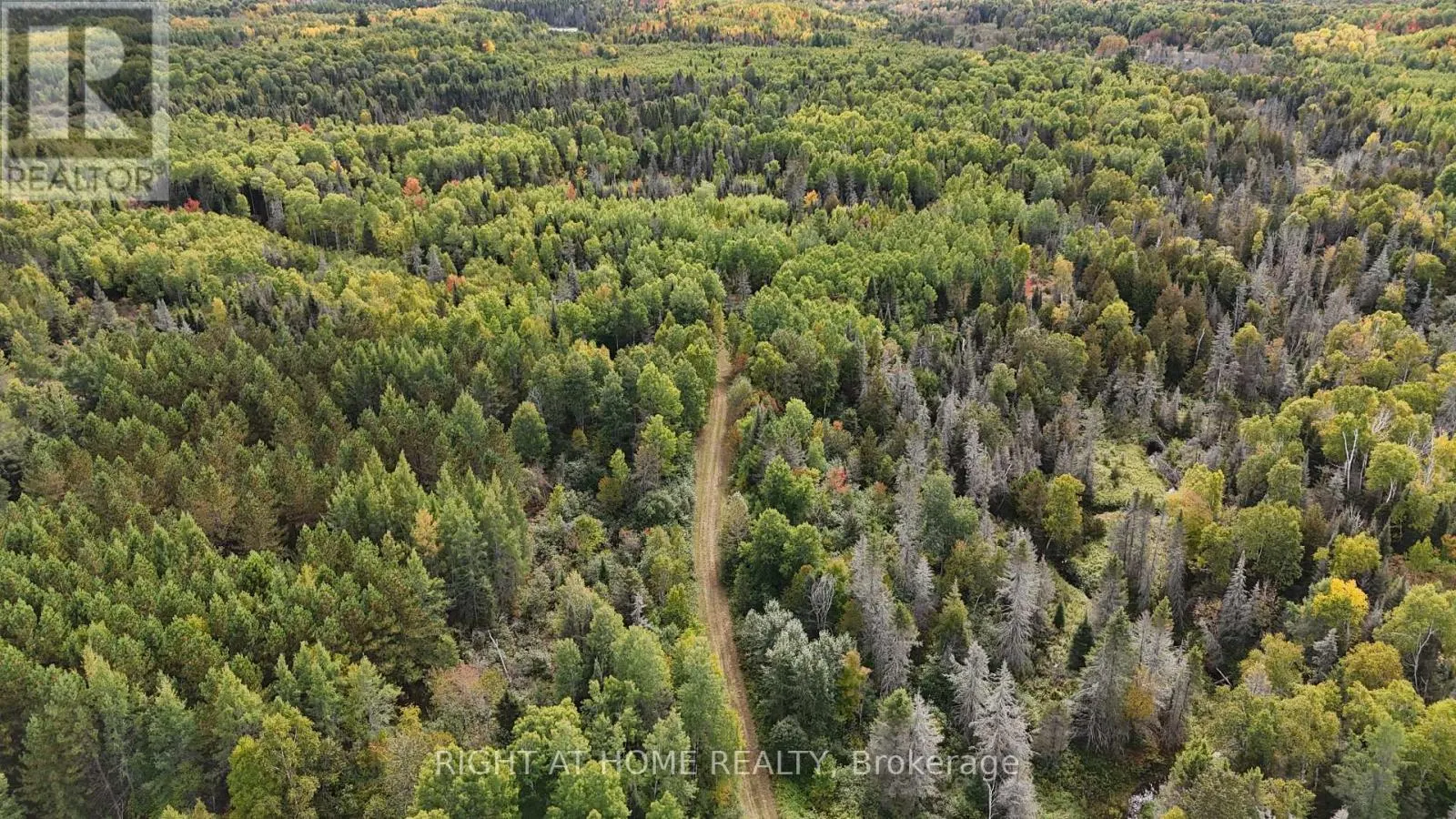 58 BELLEFEUILLE ROAD S
