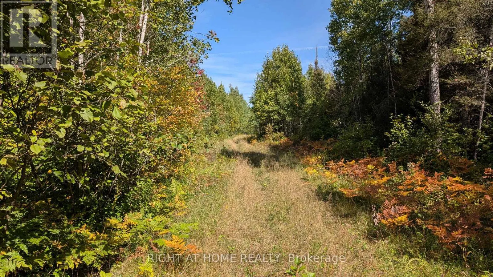 58 BELLEFEUILLE ROAD S