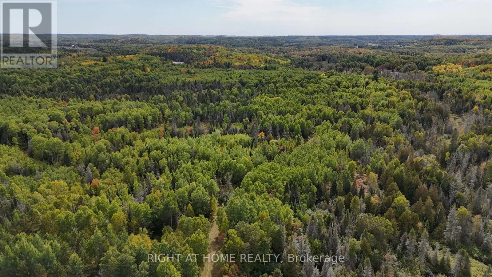 58 BELLEFEUILLE ROAD S