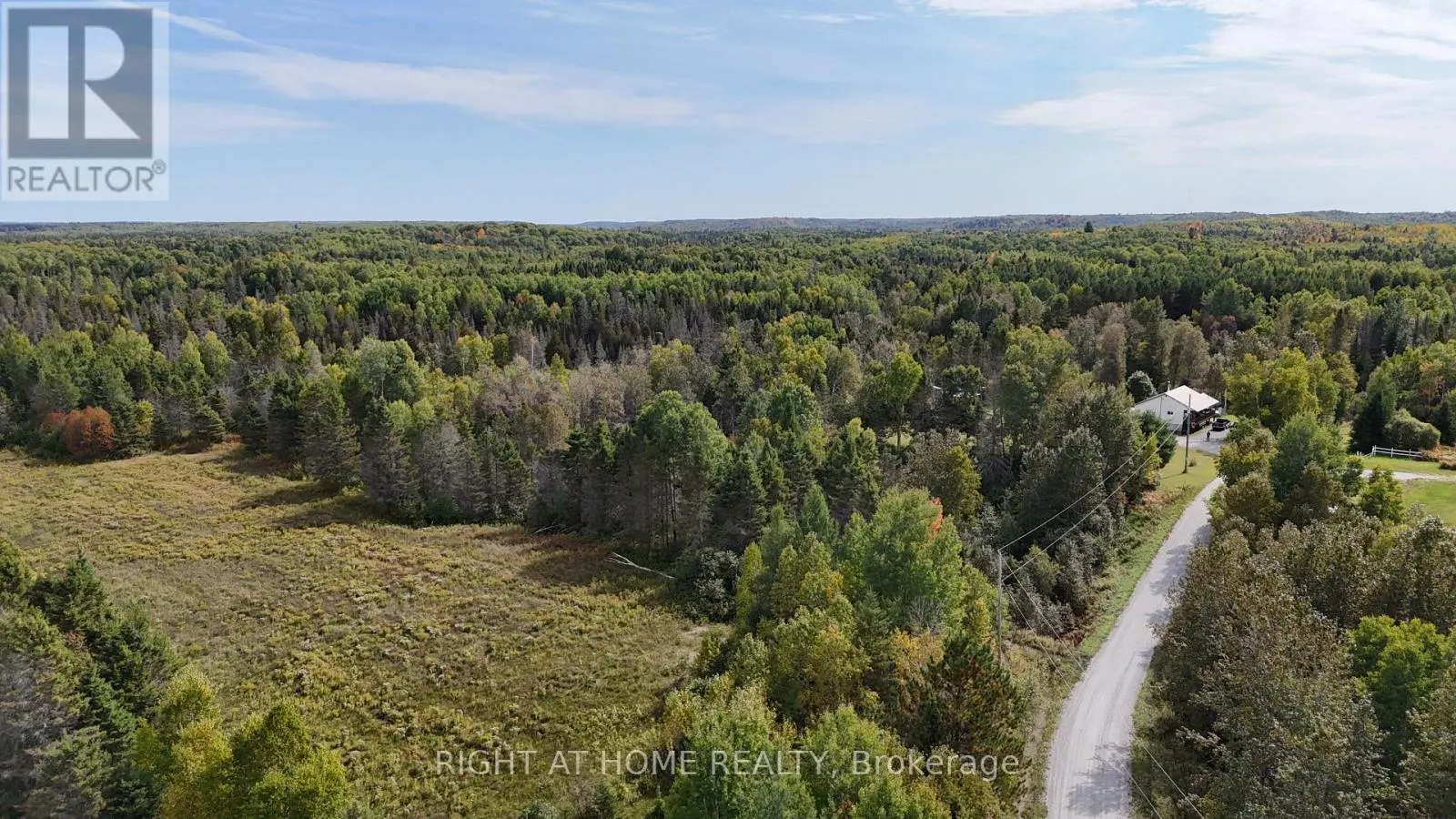 58 BELLEFEUILLE ROAD S