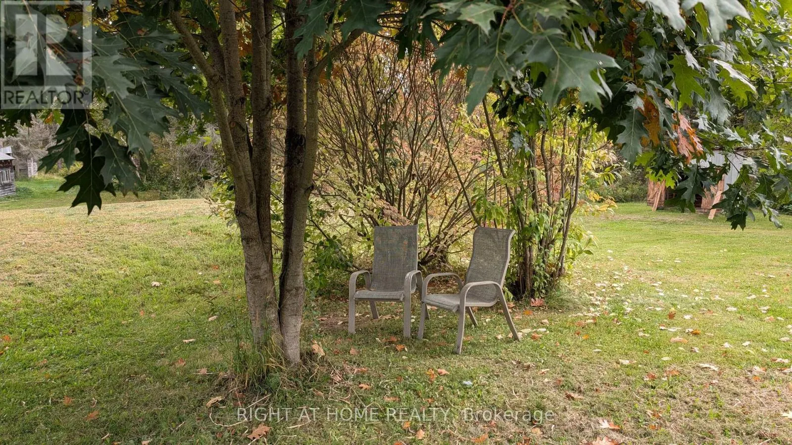 58 BELLEFEUILLE ROAD S