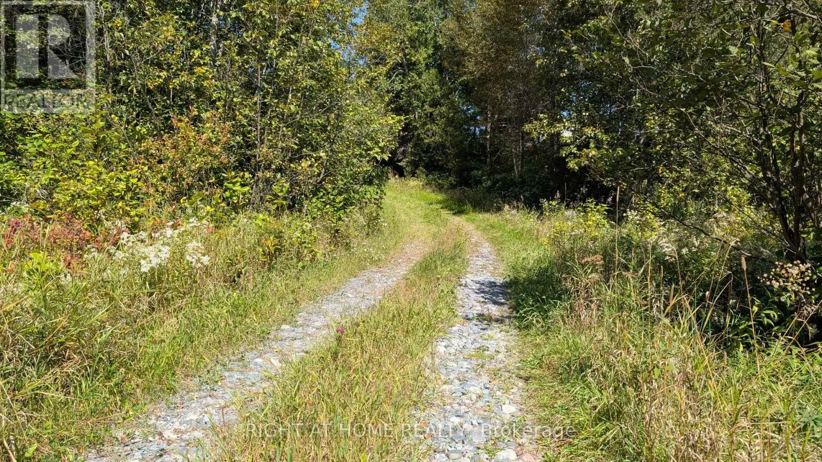58 BELLEFEUILLE ROAD S