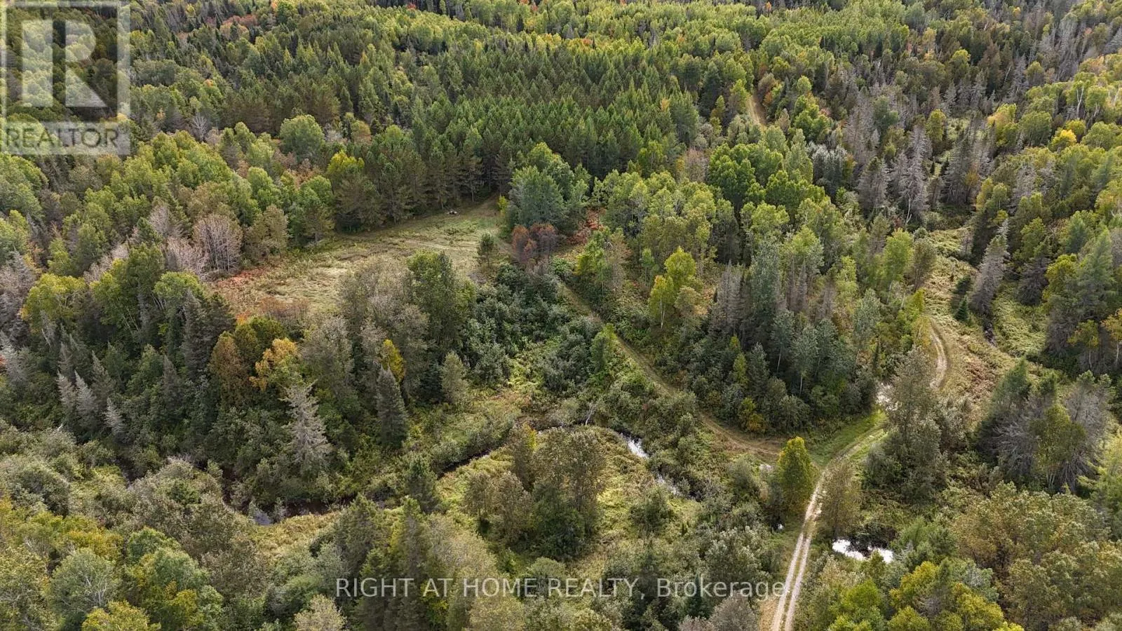 58 BELLEFEUILLE ROAD S