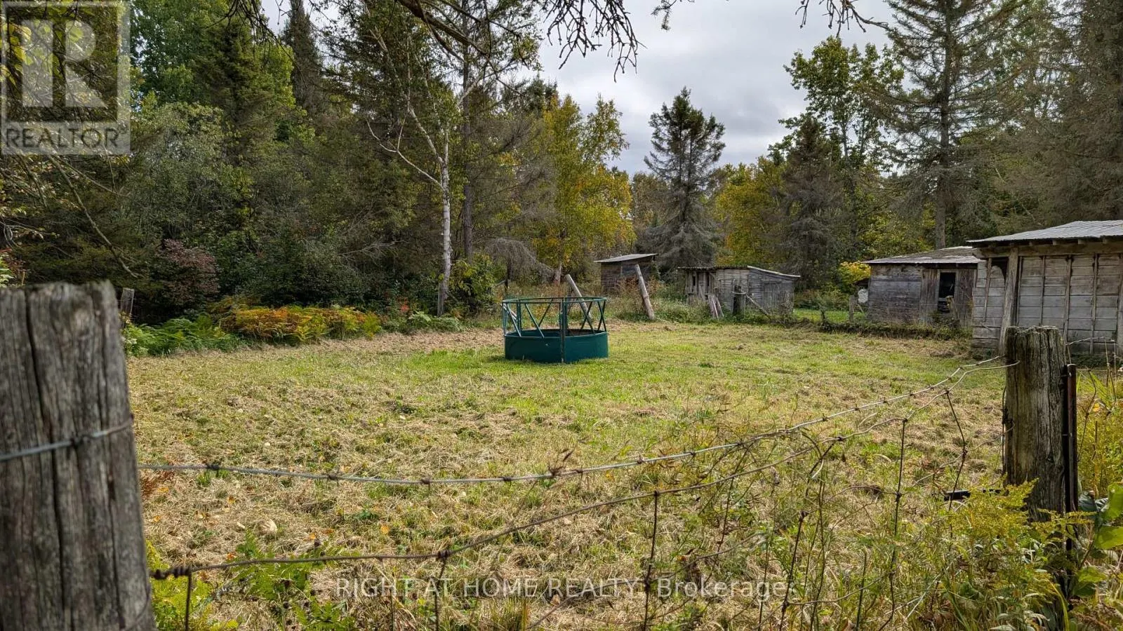 58 BELLEFEUILLE ROAD S