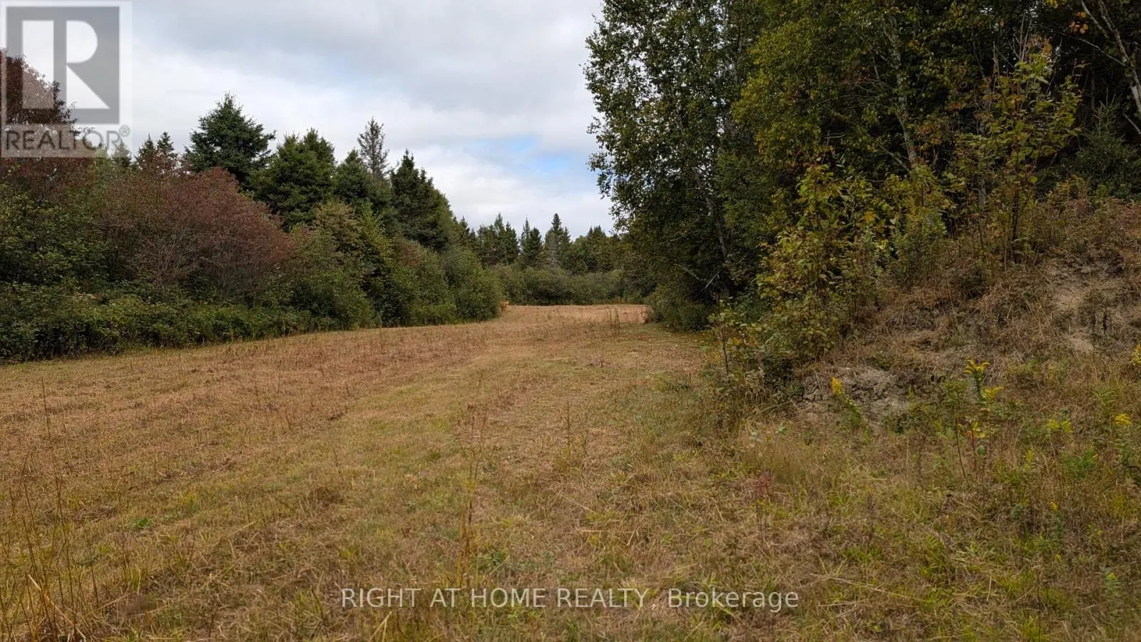 58 BELLEFEUILLE ROAD S