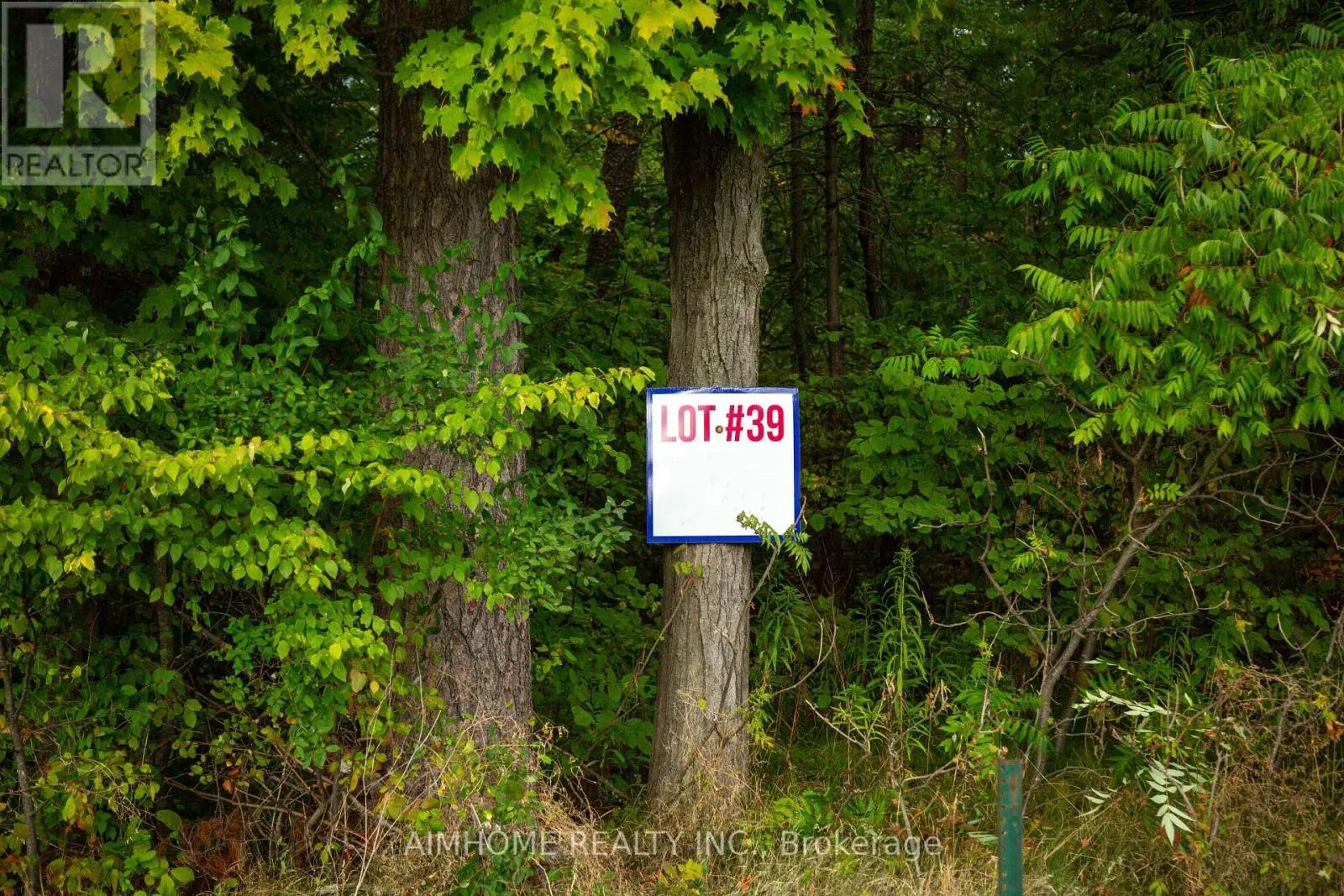 LOT 39 FIRE ROUTE 70