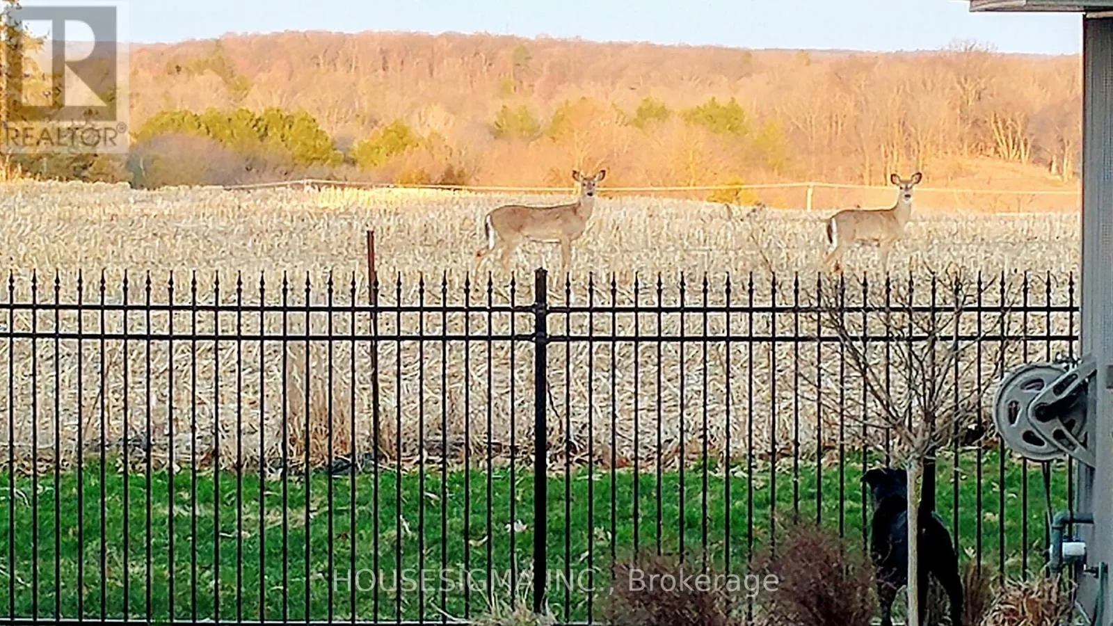 2203 WICKERSON ROAD