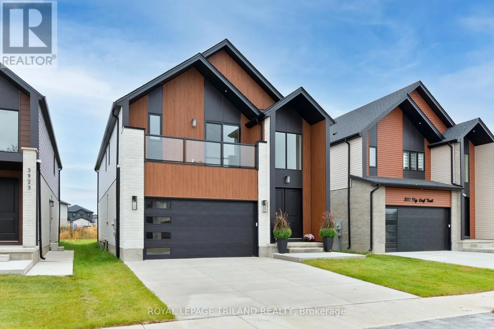 3931 BIG LEAF TRAIL