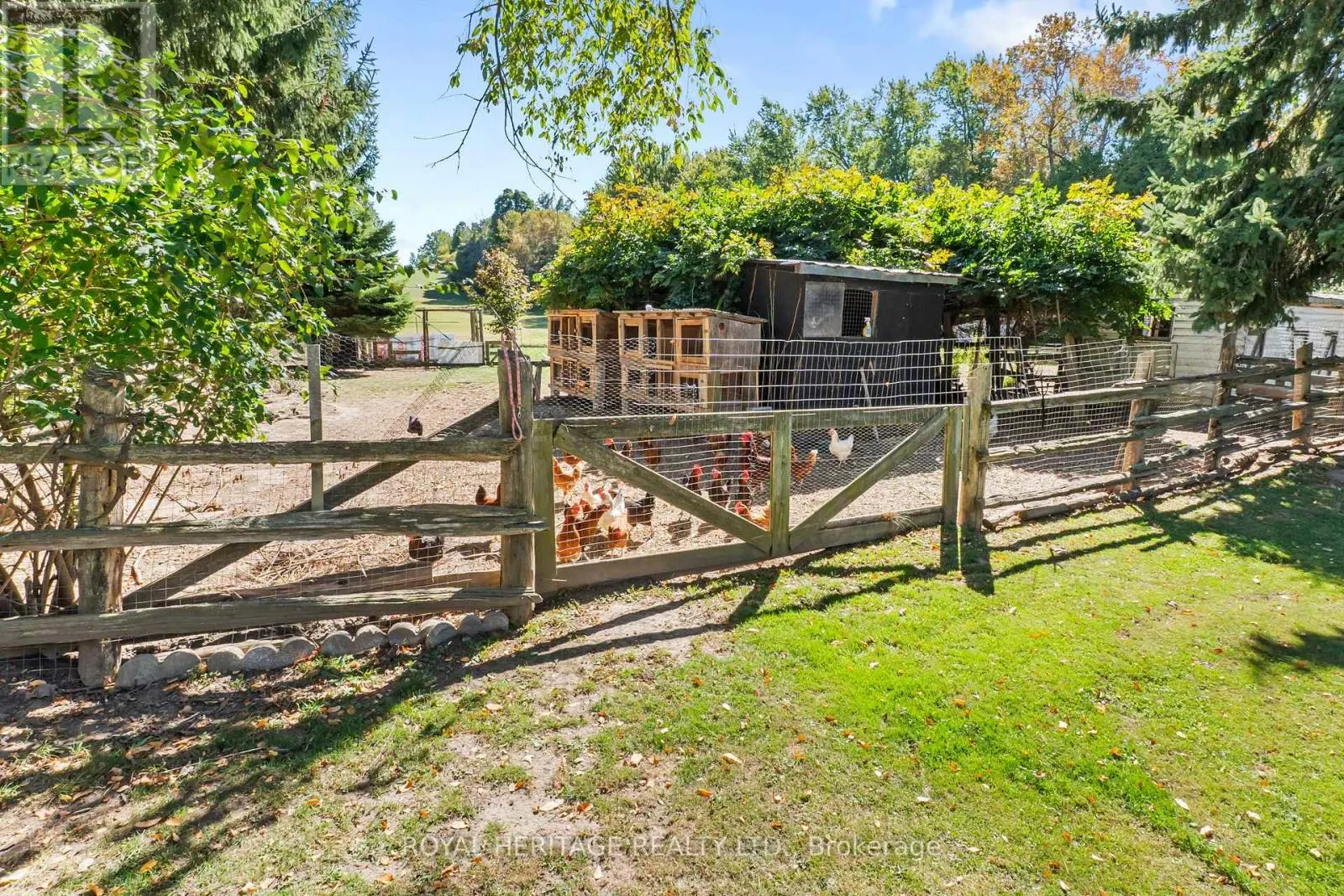 10629 COUNTY RD 2 ROAD