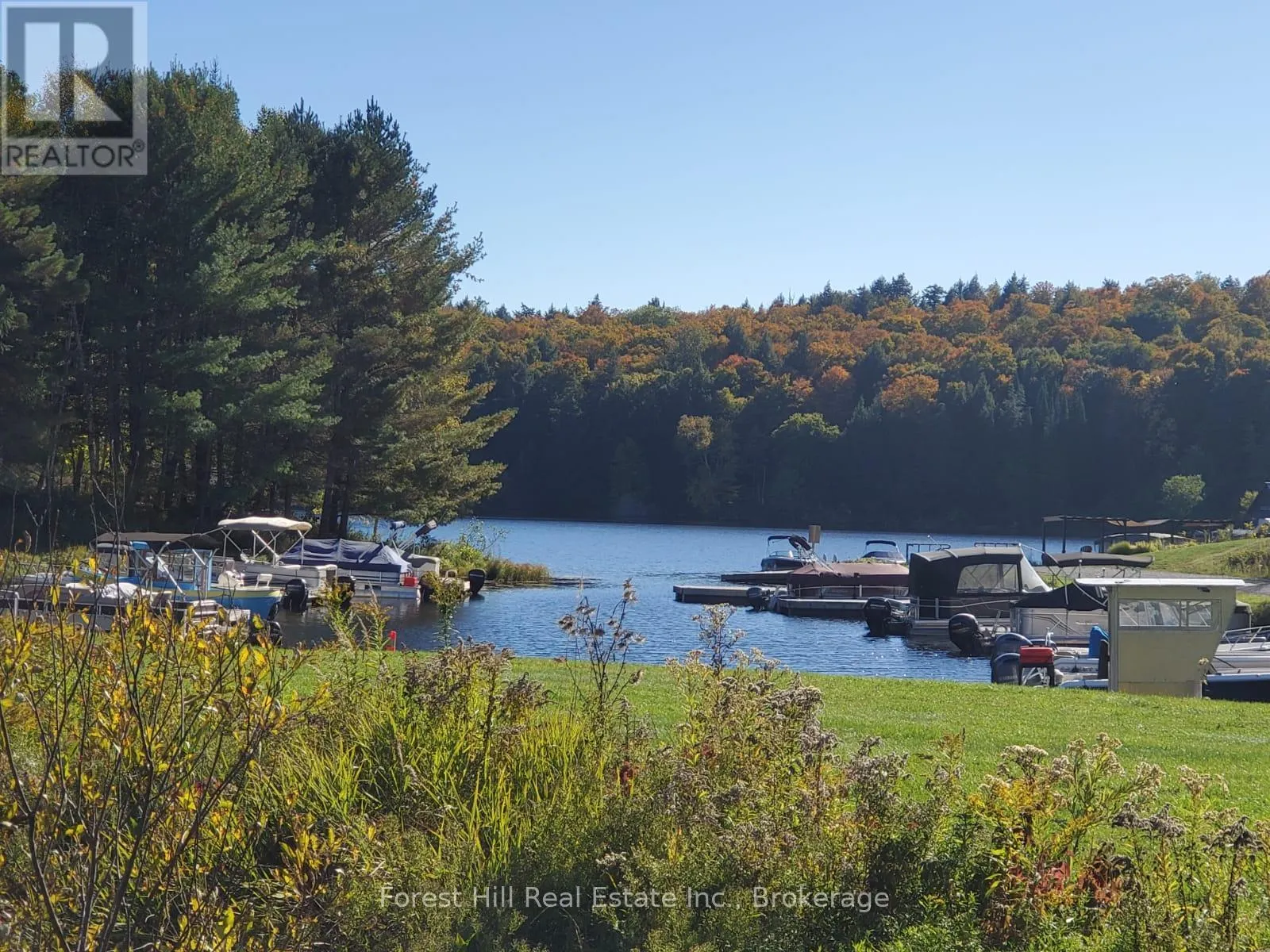 248 VERNON SHORES AVENUE