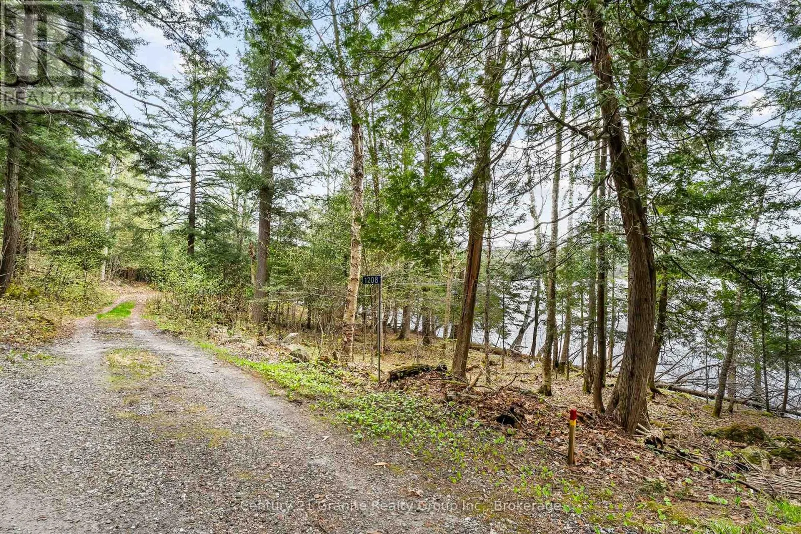 1208 REG'S TRAIL