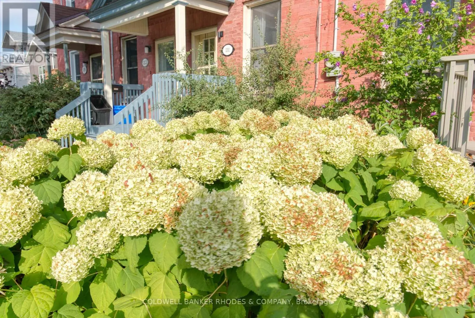 129 ELM STREET