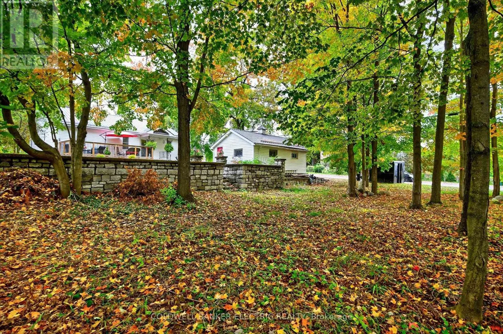 42 MADOC STREET