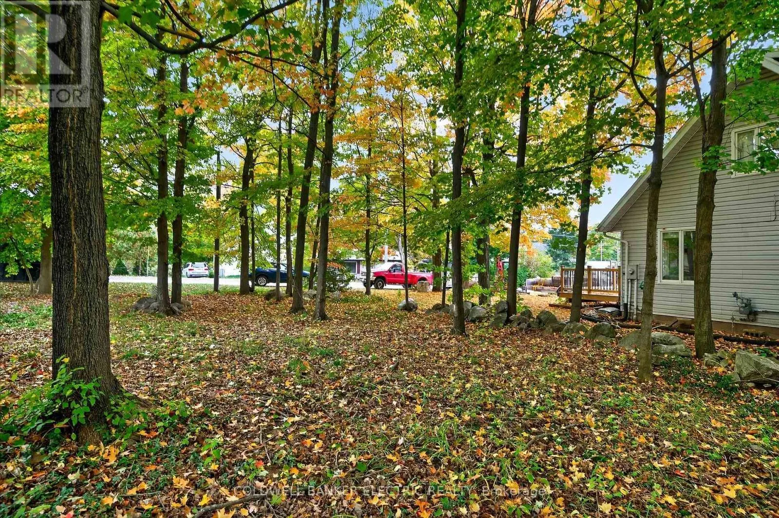 42 MADOC STREET