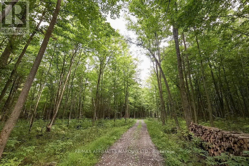 19509 COUNTY ROAD  43 ROAD