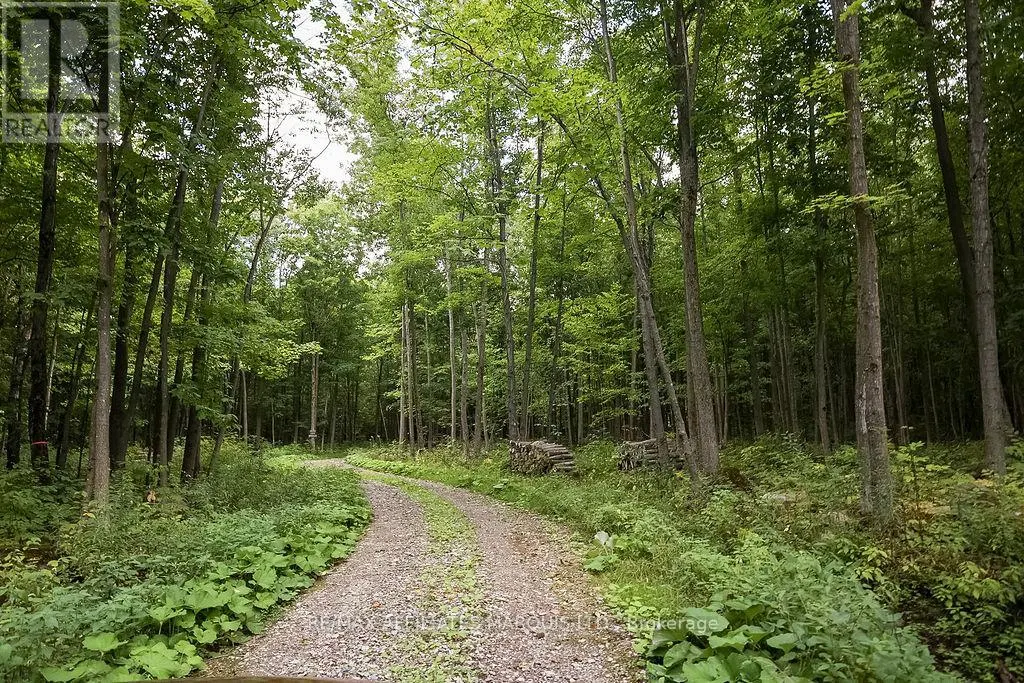 19509 COUNTY ROAD  43 ROAD