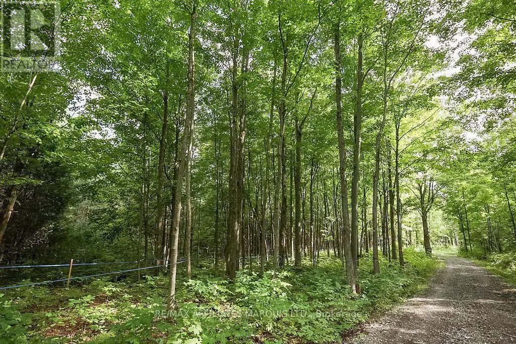 19509 COUNTY ROAD  43 ROAD