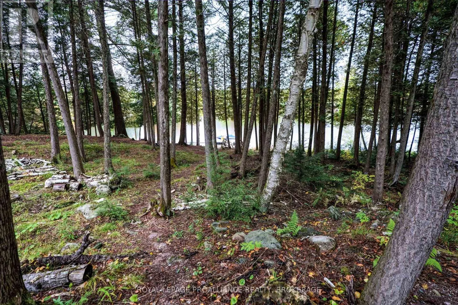 1175 NORDIC ROAD