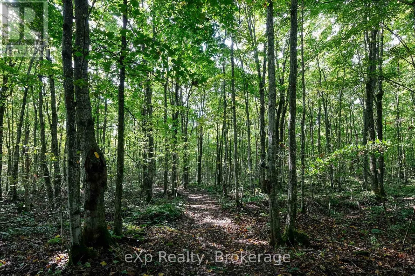 442625 CONCESSION ROAD 21