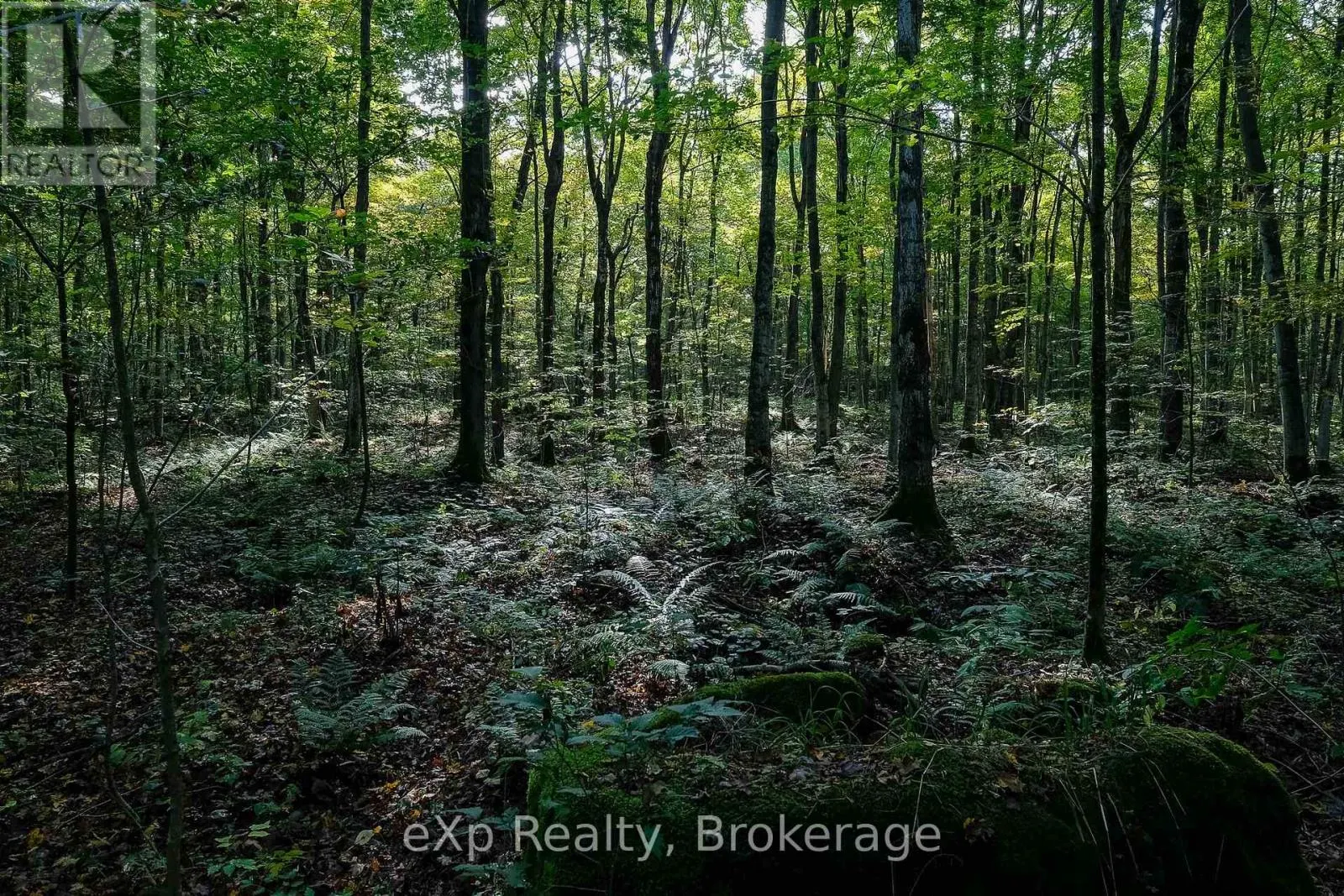 442625 CONCESSION ROAD 21