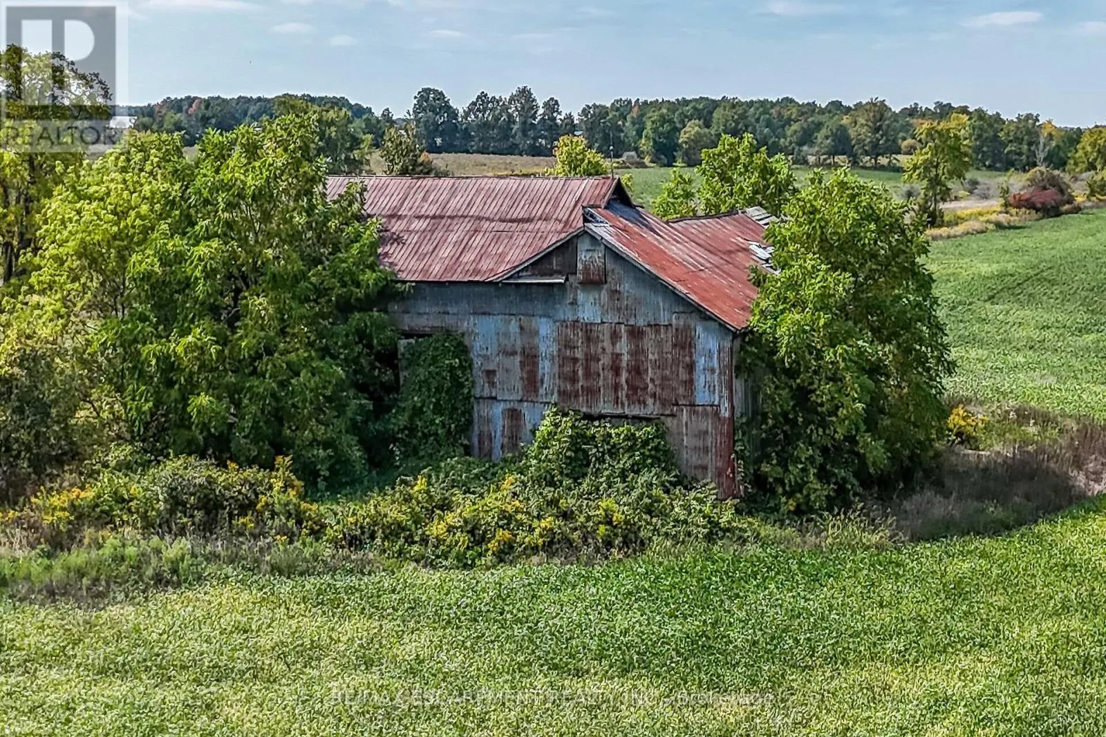 2429 COUNTY LINE