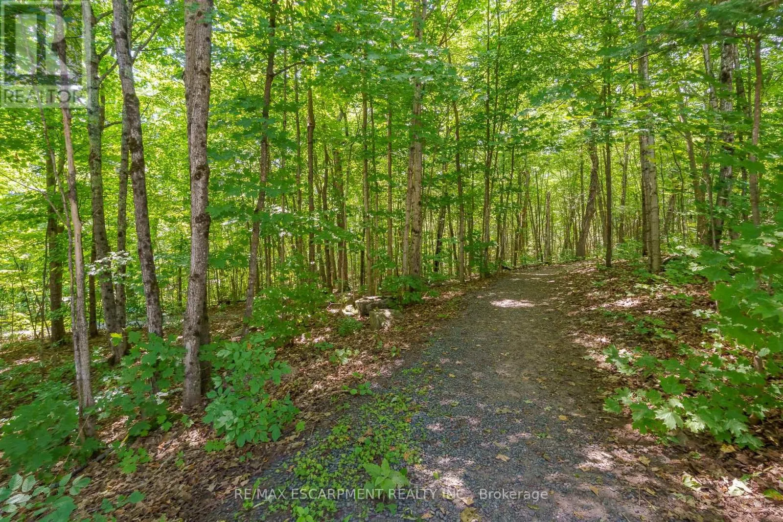 1 - 131 GRANDVIEW HILLTOP DRIVE