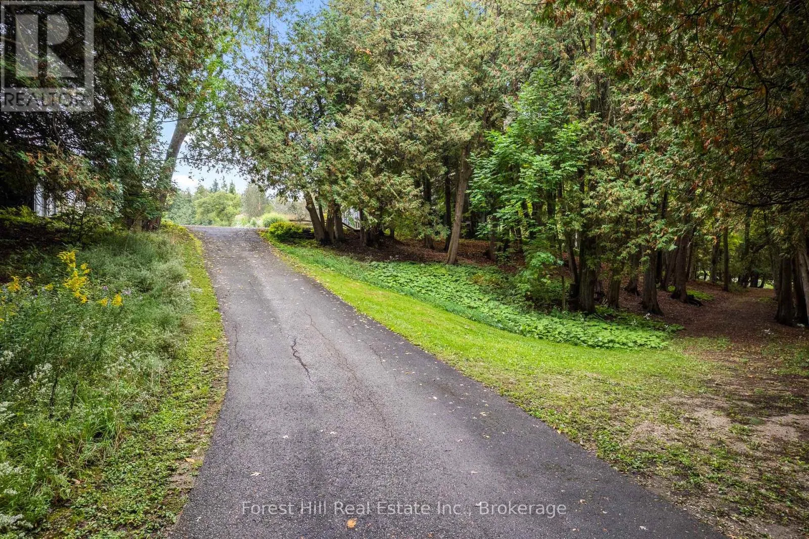403288 GREY ROAD 4