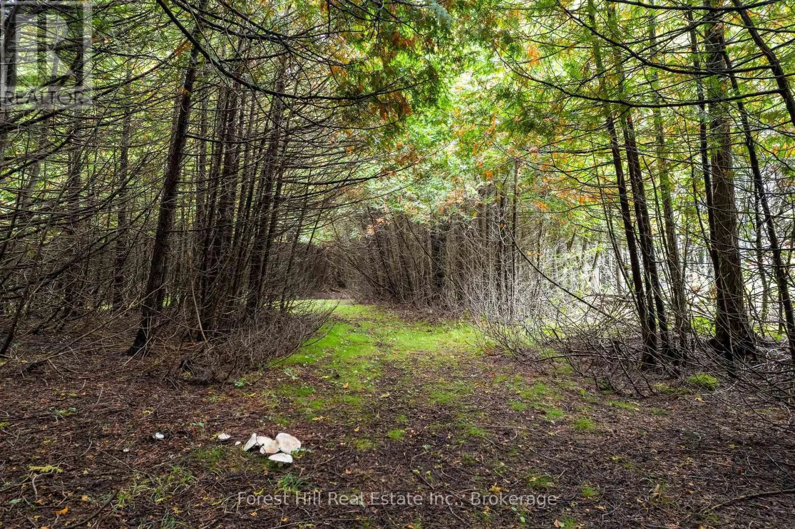 403288 GREY ROAD 4