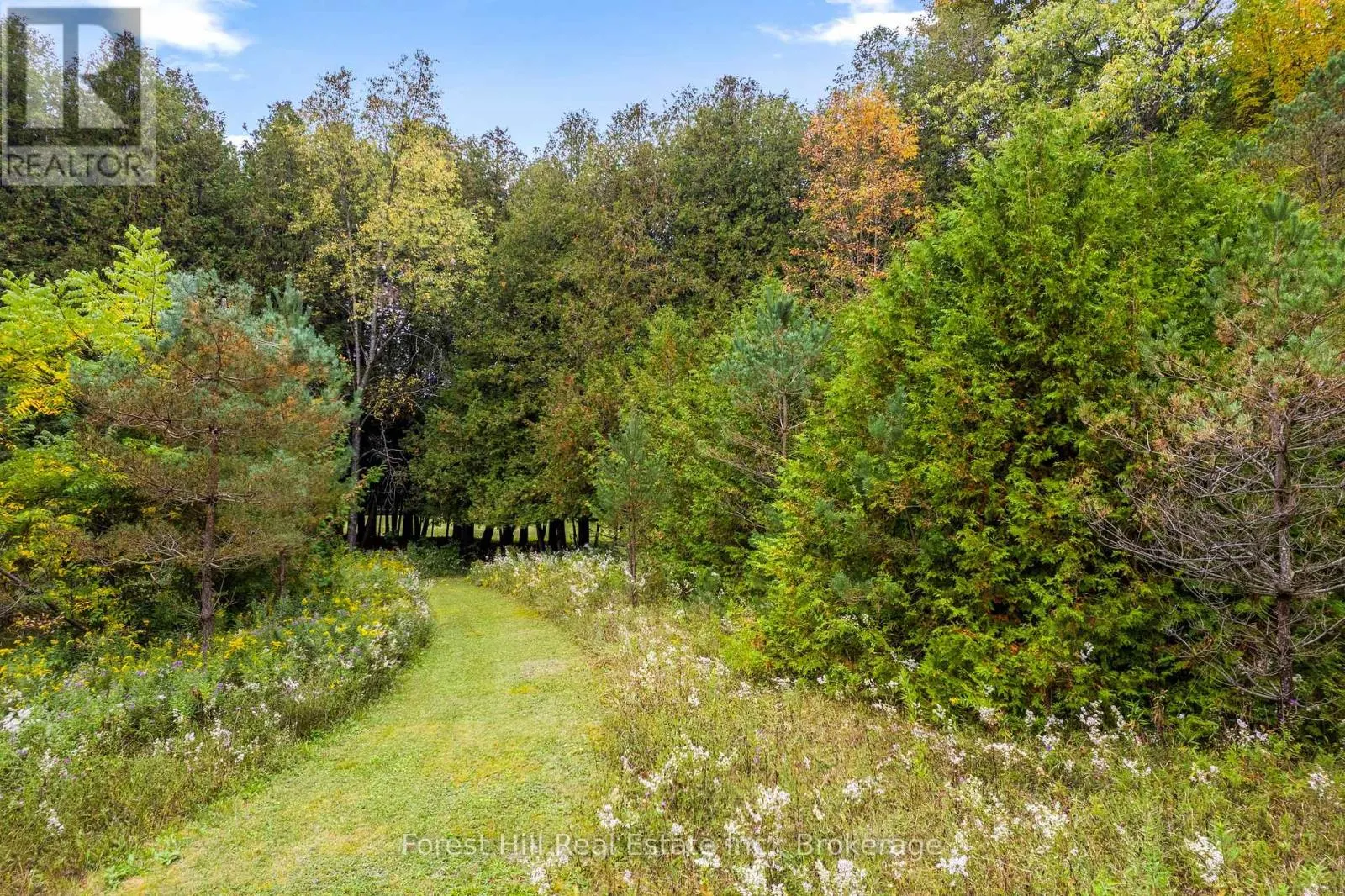 403288 GREY ROAD 4