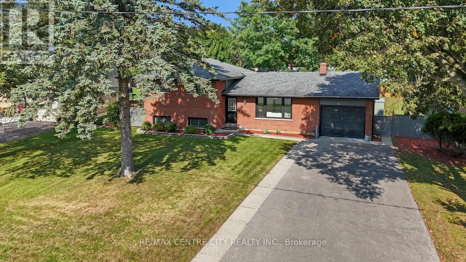 12 FIELD ROAD