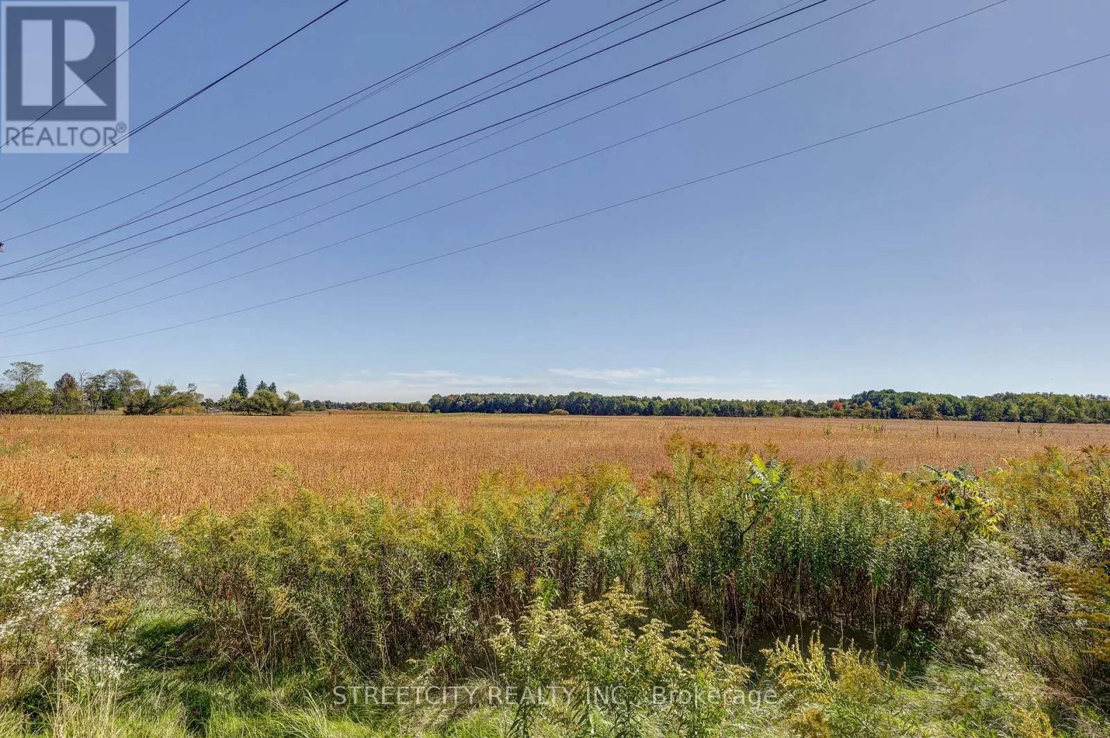276 MARSH LINE