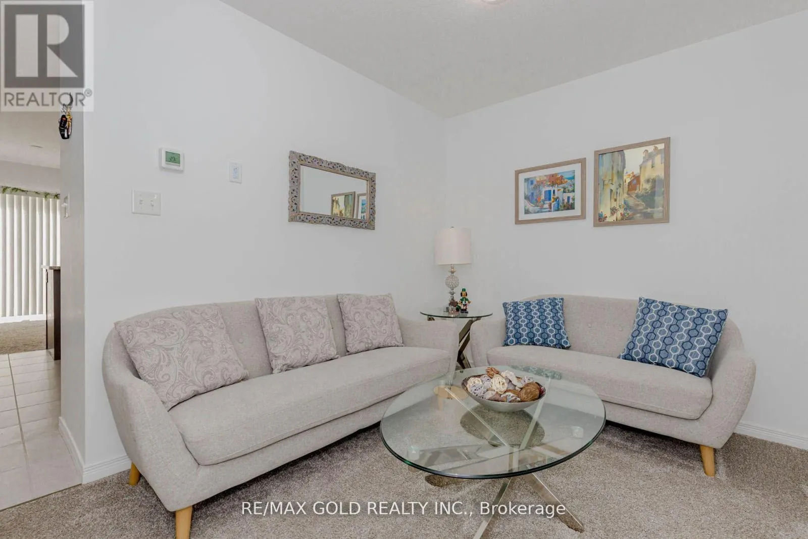 208 WOODMEADOW COURT