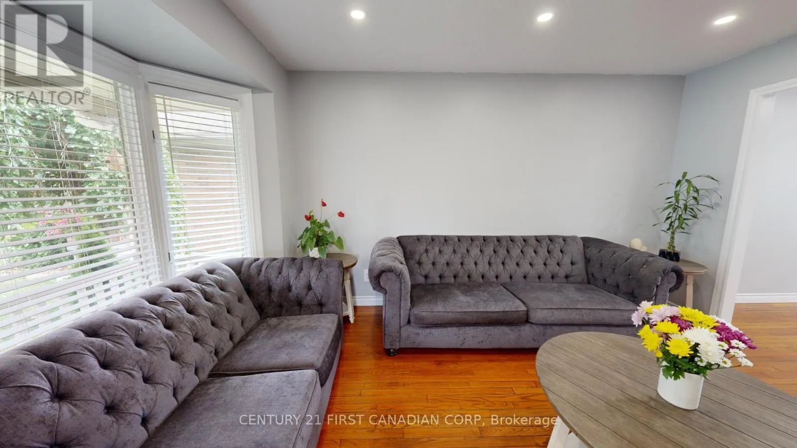 217 COLETTE DRIVE