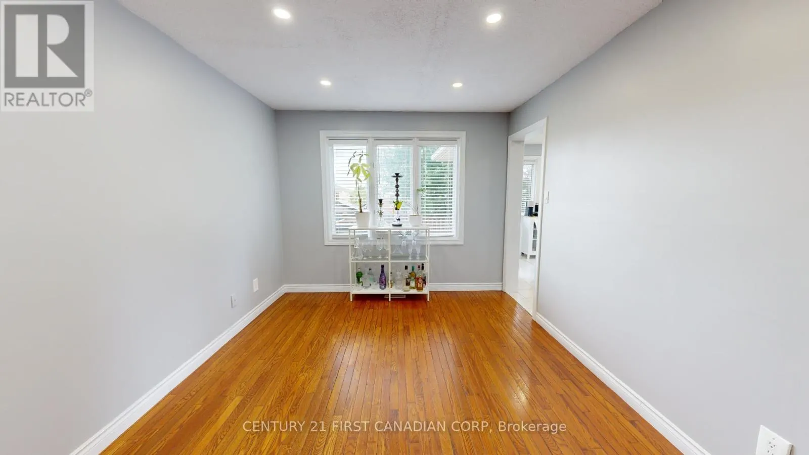 217 COLETTE DRIVE