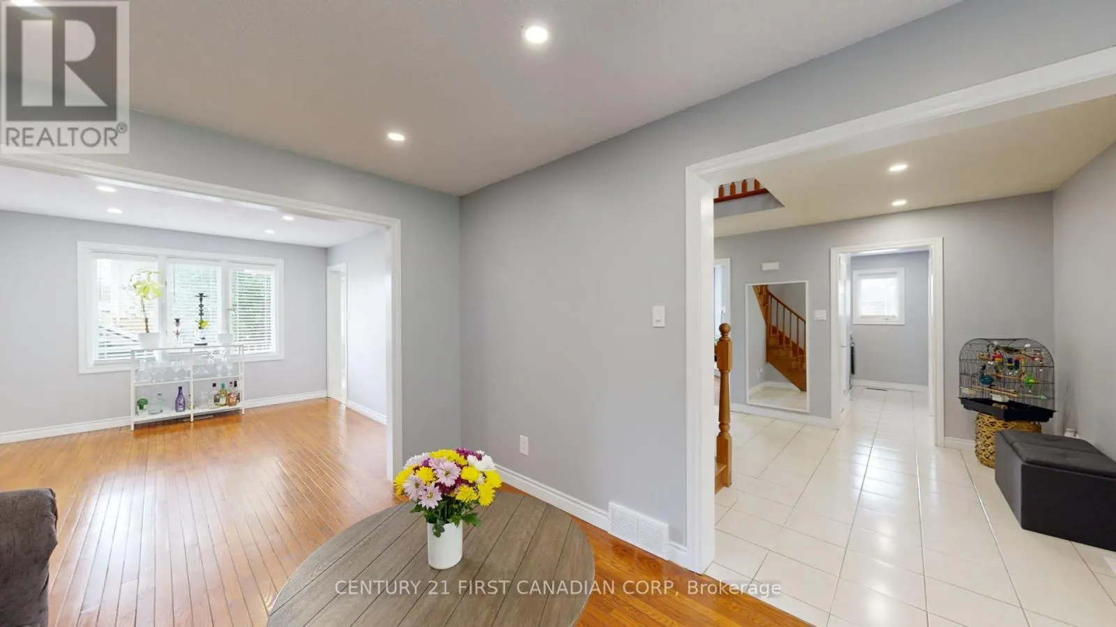 217 COLETTE DRIVE
