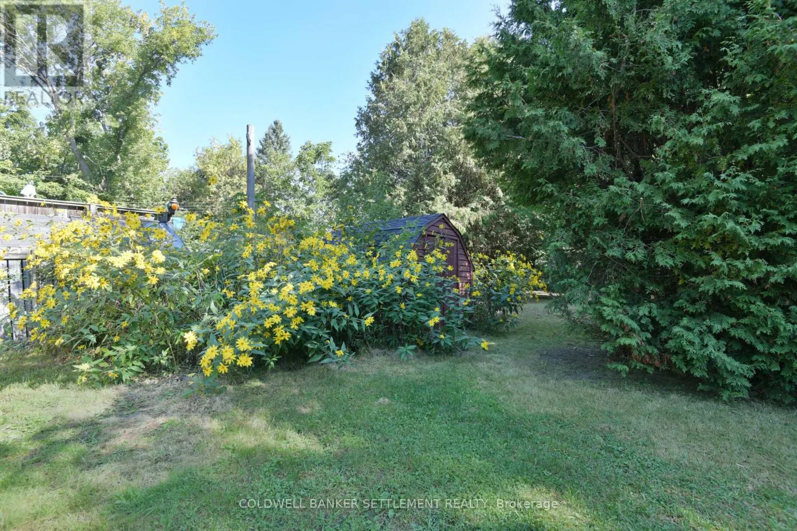 89 DRUMMOND STREET E