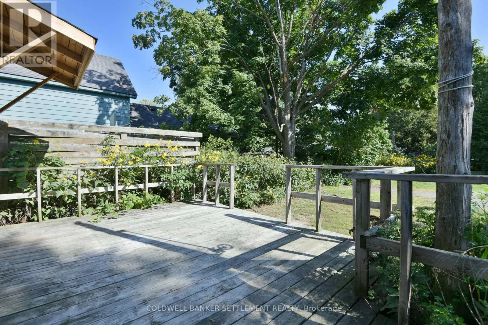 89 DRUMMOND STREET E