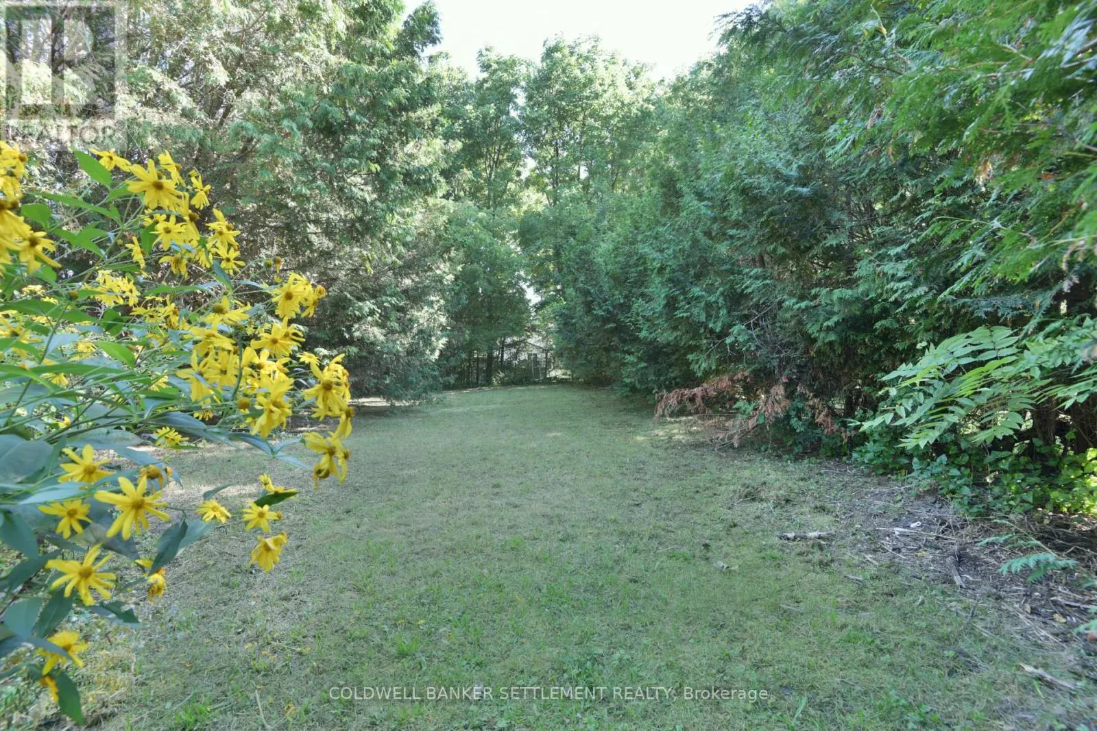 89 DRUMMOND STREET E