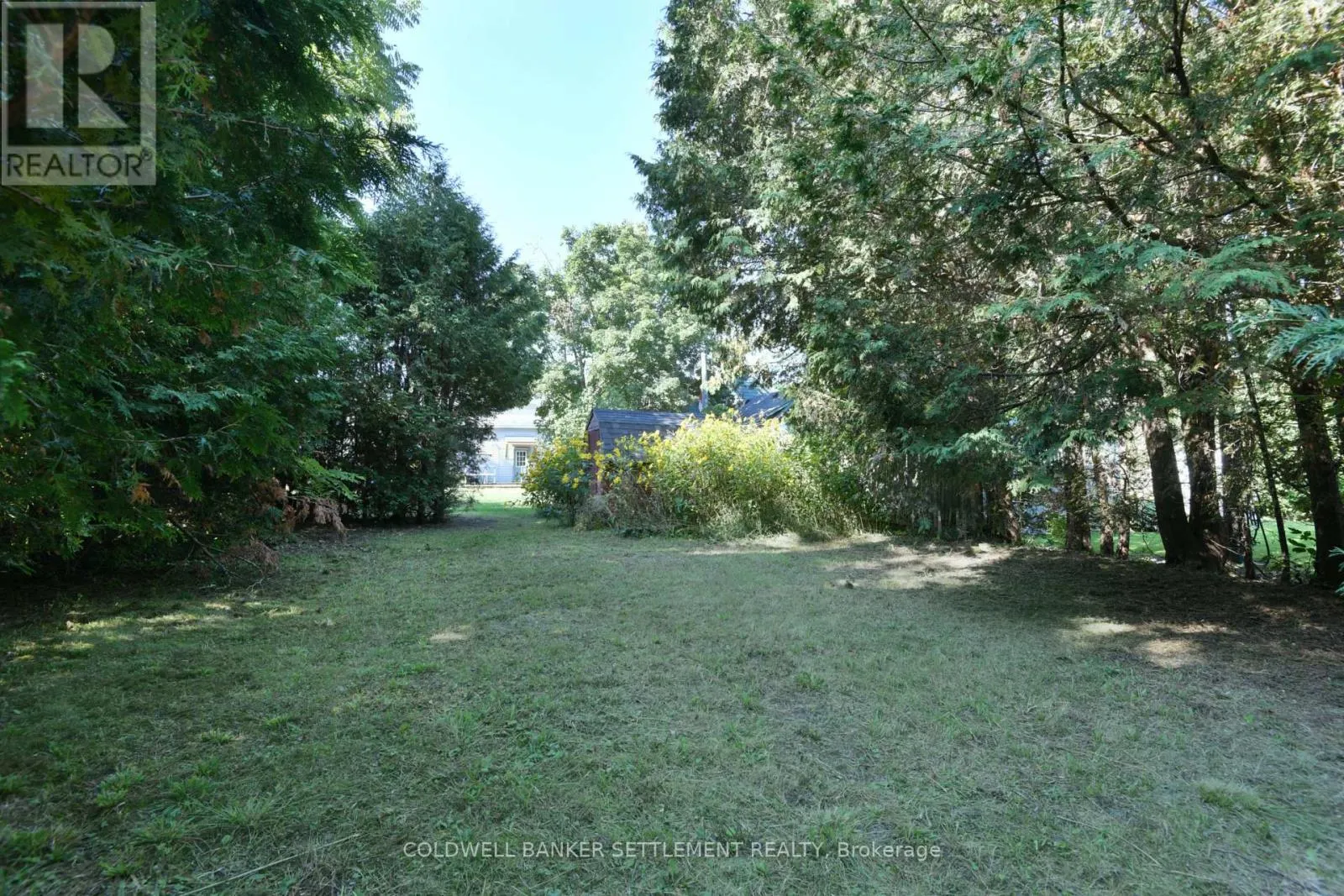 89 DRUMMOND STREET E