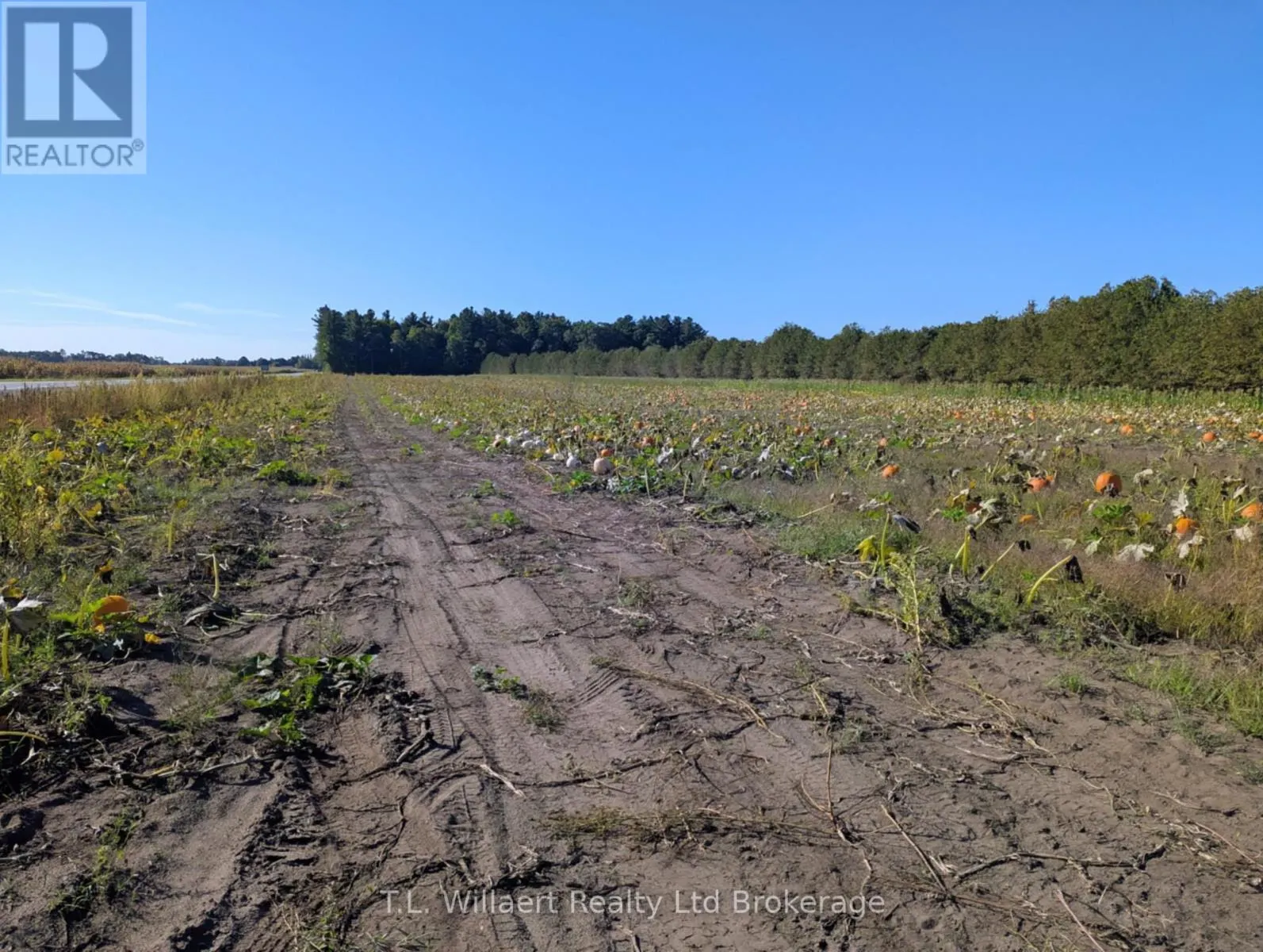 7343 PLANK ROAD