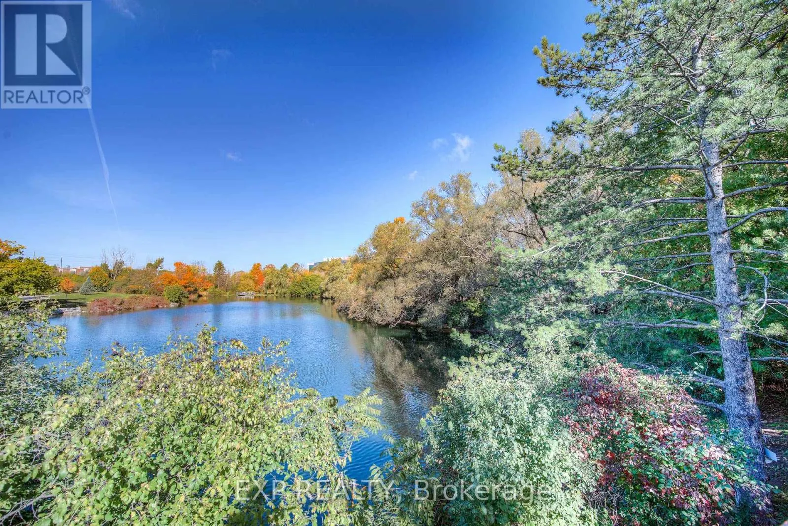 41 - 54 BLUE SPRINGS DRIVE