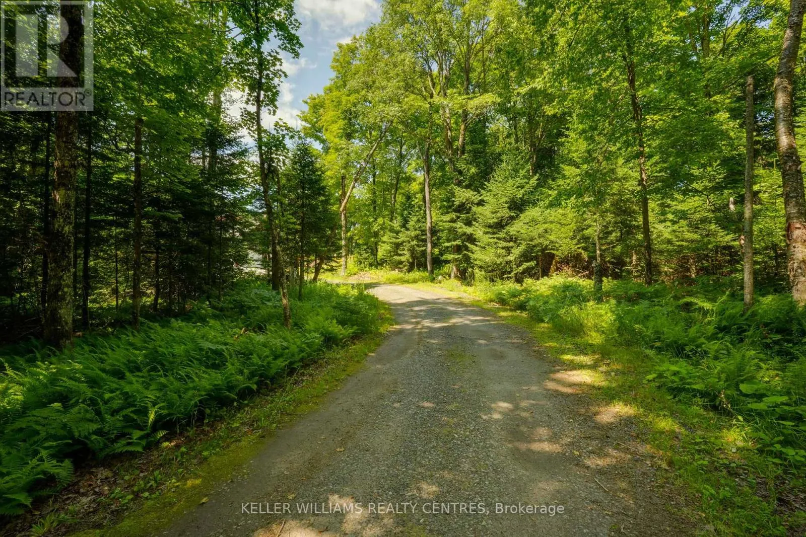 96 LINDGREN ROAD E