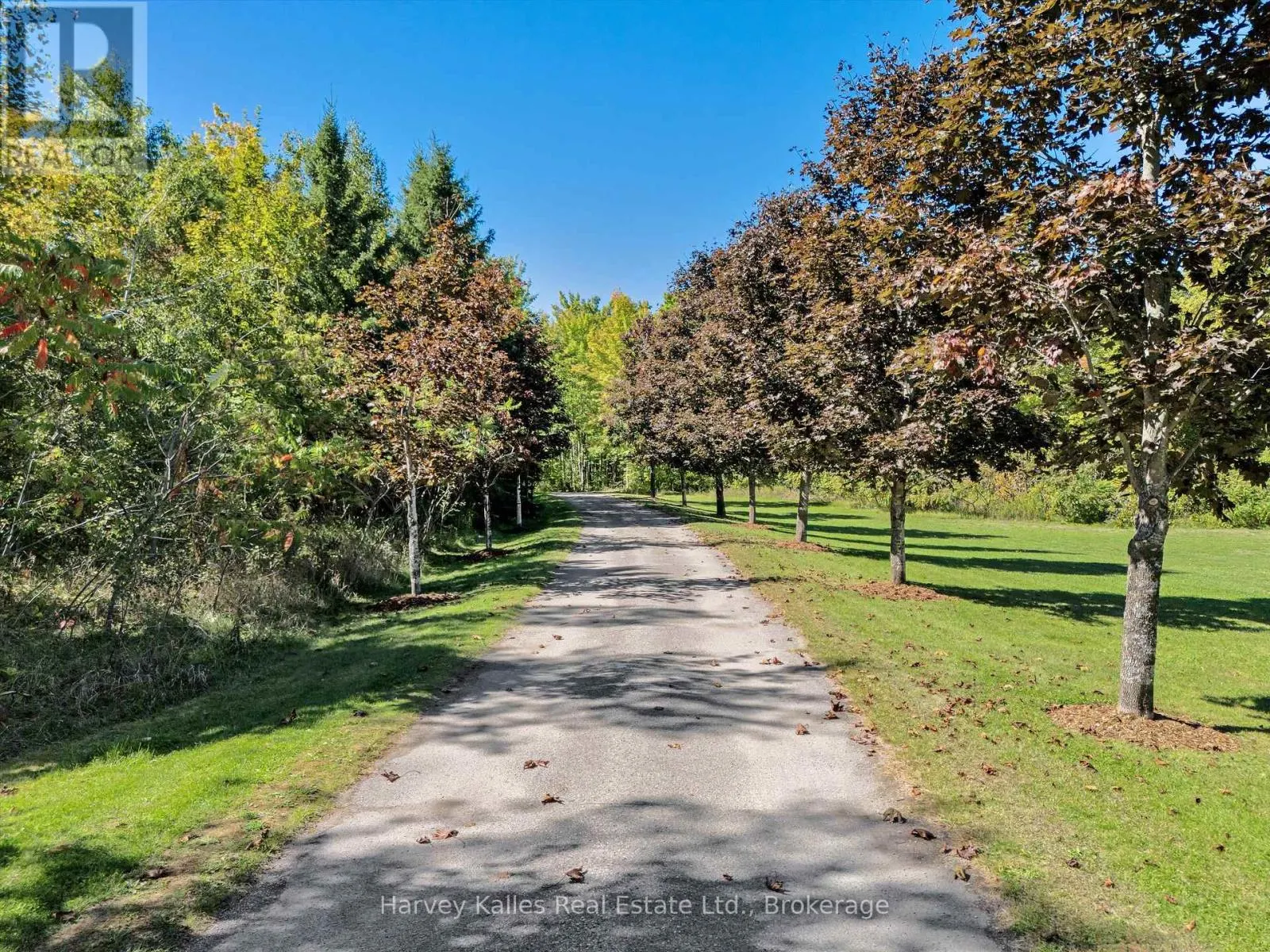 5 LEASIDE STREET